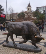 bull1